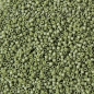 Preview: DB0391 Opaque Olivine Matted, 5g
