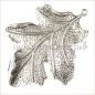 Preview: Leaf, Antique silver