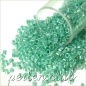 Preview: DB0079 Turquoise Green Lined Crystal AB, 5g