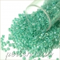 Preview: DB0079 Turquoise Green Lined Crystal AB, 5g