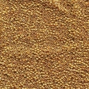 11-1053, Galvanized Yellow Gold, 10g